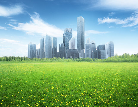 field of spring flowers and modern city