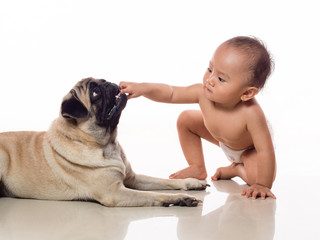 baby put hand in doggy mouth