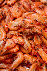 closeup on fresh prawns