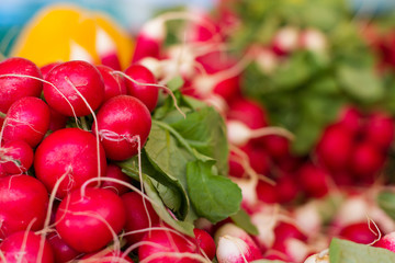 Red radishes at a market