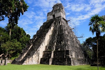 Tikal bei Flores in Guatemala