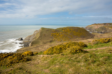 View from Damehole Point Hartland Devon Uk