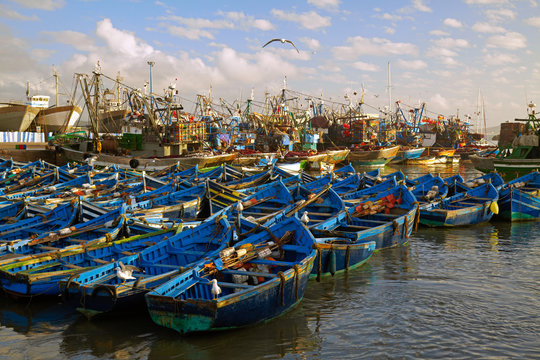 Fishing port.  Essaouira, Morocco