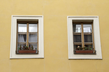Windows on the wall