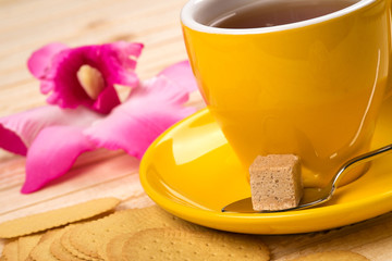 Lump of sugar in a teaspoon