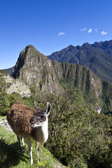 Machu Picchu with the Huayna Picchu in the background - Peru © worldwidephotoweb
