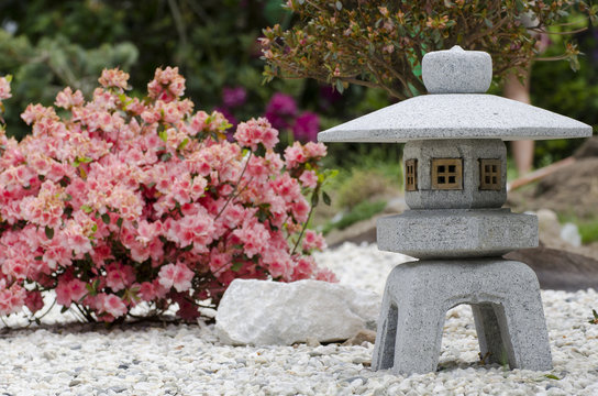 Steinlaterne in japanischem Garten mit Azalee im Hintergrund
