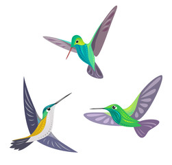 Fototapeta premium Hummingbirds