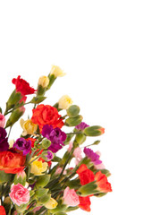 Obraz na płótnie Canvas Bouquet colorful Dianthus