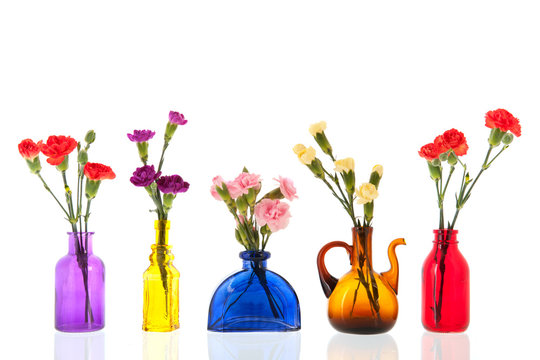 colorful Dianthus in little glass vases