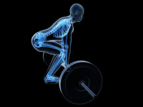 3d rendered medical illustration - correct lifting posture