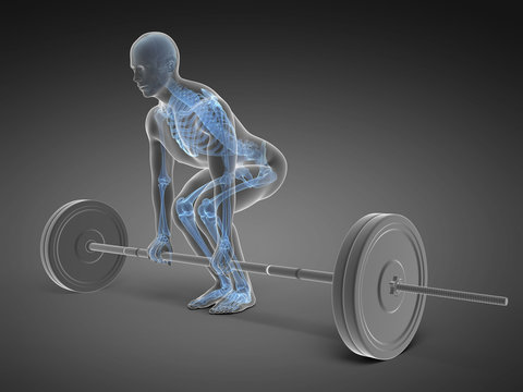 3d rendered medical illustration - correct lifting posture