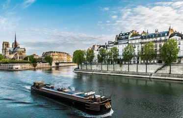 Foto op Canvas peniche seine river paris city France © snaptitude