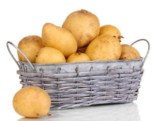 Ripe potatoes on basket isolated on white