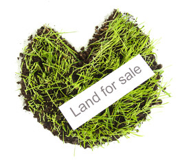 Green grass with ground as concept of land sale isolated