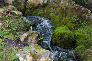 Source