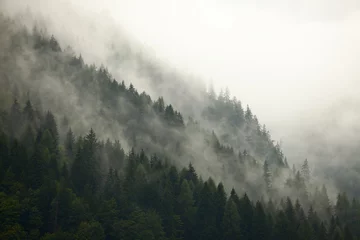 Rolgordijnen Bos Mist © Gudellaphoto