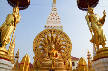 Buddha with naga background