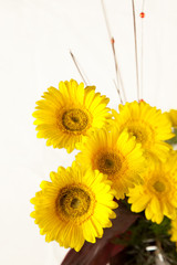 Fototapeta premium Bouquet of yellow and white flowers