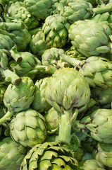 Obraz premium Artichokes
