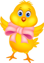 Cute baby chicken cartoon
