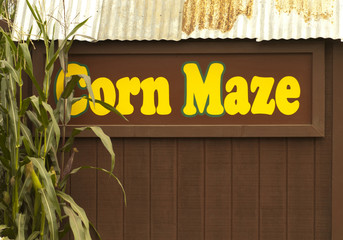 Corn Maze