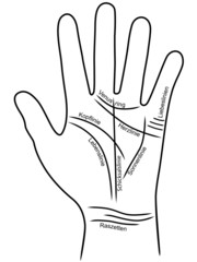 Beschriftete Infografik zum Thema Handlesen – Vektor