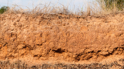 Soil layer