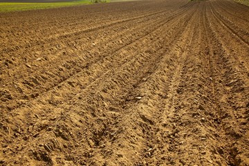 Soil