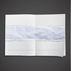 Sheet texture inside a book. 