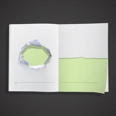 Big hole and break paper inside a book. © luismolinero