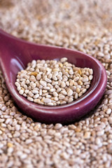 Graines de Chia dans une cuillère