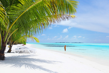 woman in bikini under palm