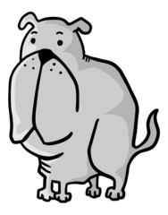 Fun dog