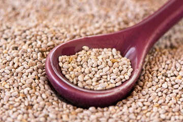 Graines de Chia dans une cuillère #2