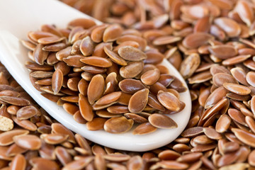 Cuillère de Graines de Lin #2