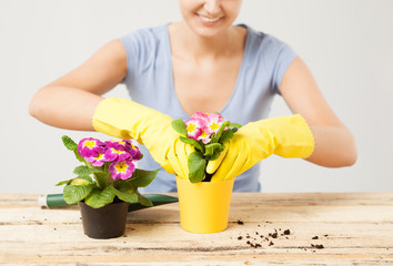 housewife with flower in pot and gardening set
