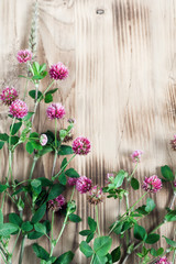 Clover on the wooden background