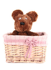 Beautiful basket with toy bear isolated on white