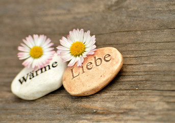 Wärme & Liebe