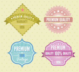 Vector set vintage labels