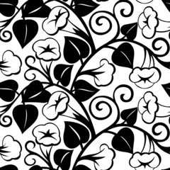 Door stickers Flowers black and white seamless morning-glory black isolated background