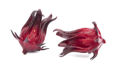 Roselle isolated on the white background