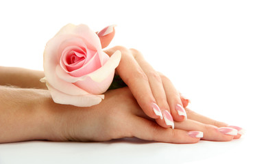 Beautiful woman hands with rose, isolated on white