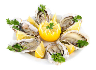 Oysters isolated on white