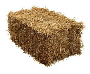 Bale Of Hay - Powered by Adobe