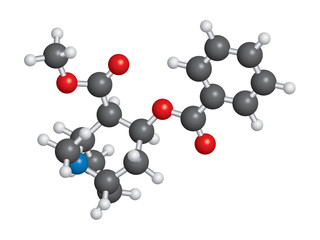 Cocaine molecule ball and stick model - C17H21NO