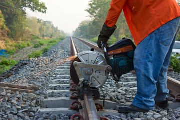 Workers were cutting tracks for maintenance.