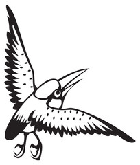 bird on the white background for coloring