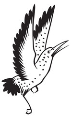 bird on the white background for coloring